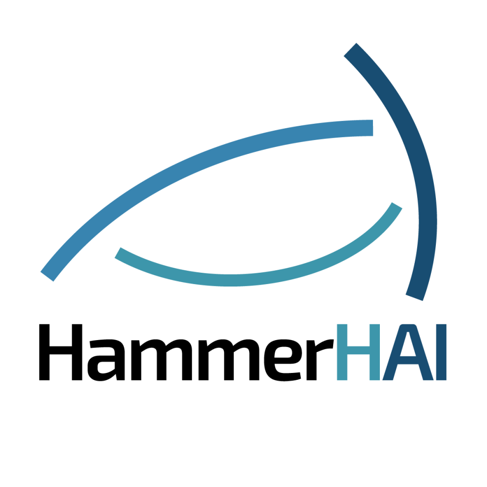 logo of HammerHAI