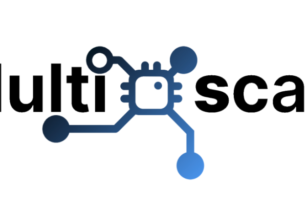 multixscale logo